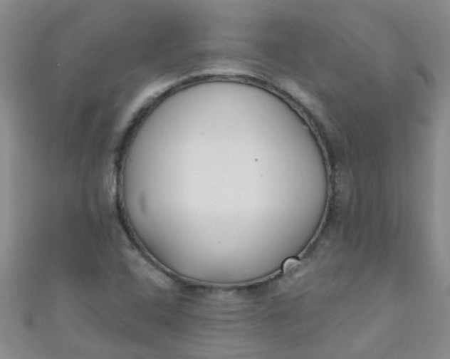 X0000111001408200907022127