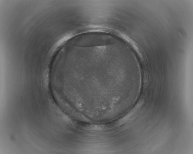 X0000111001411200907022127