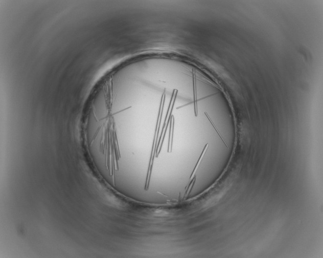 X0000111001412200907022127