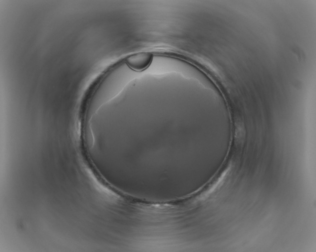 X0000111001414200907022127