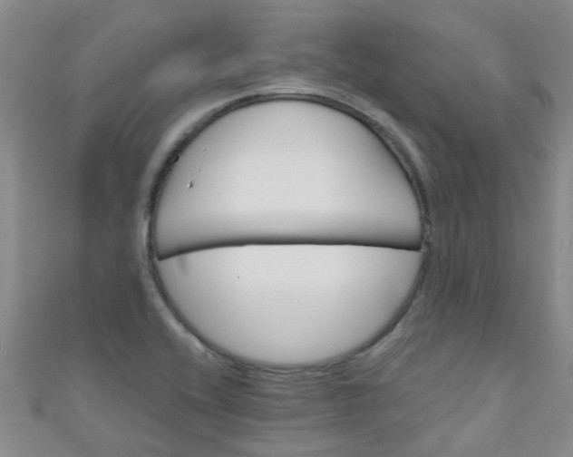 X0000111001416200907022127