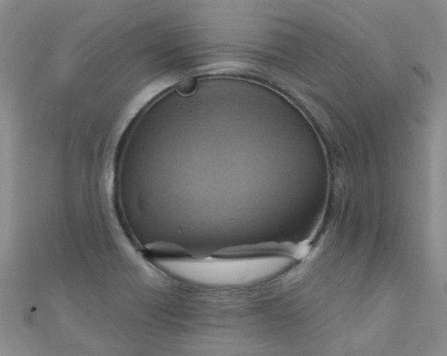 X0000111001418200907022127