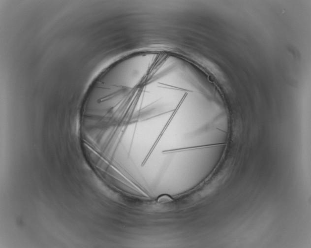 X0000111001420200907022127