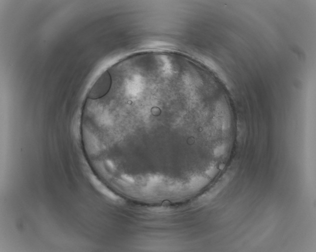 X0000111001421200907022127