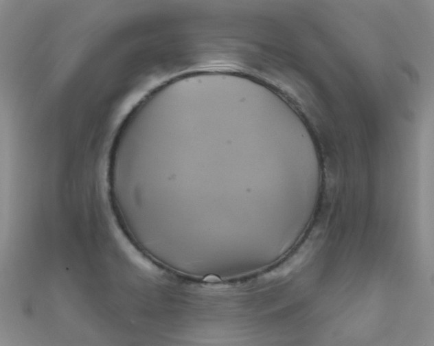 X0000111001422200907022127