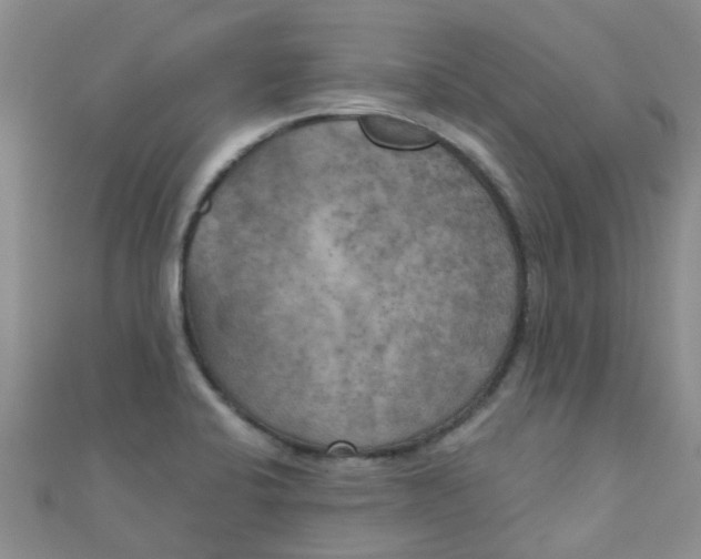 X0000111001424200907022127