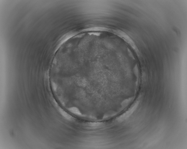 X0000111001425200907022127