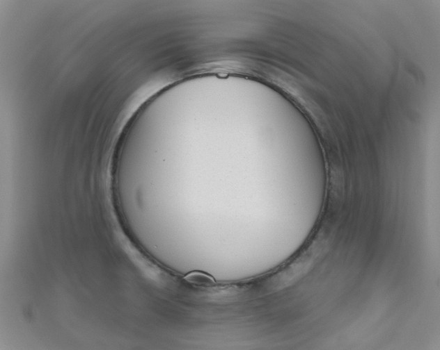 X0000111001426200907022127