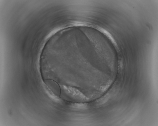 X0000111001427200907022127