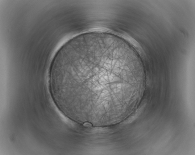 X0000111001430200907022127