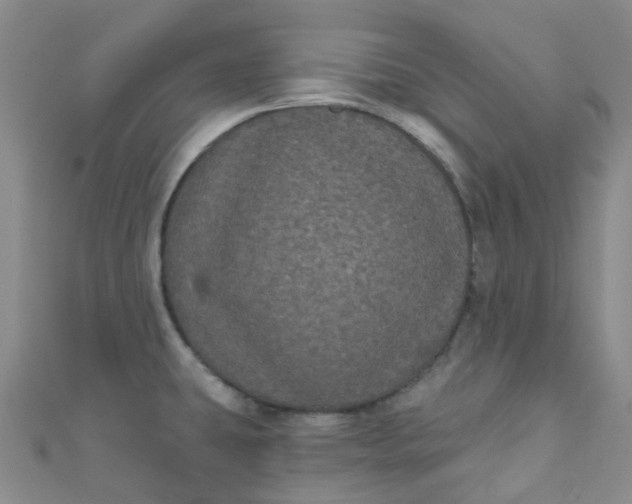 X0000111001431200907022127