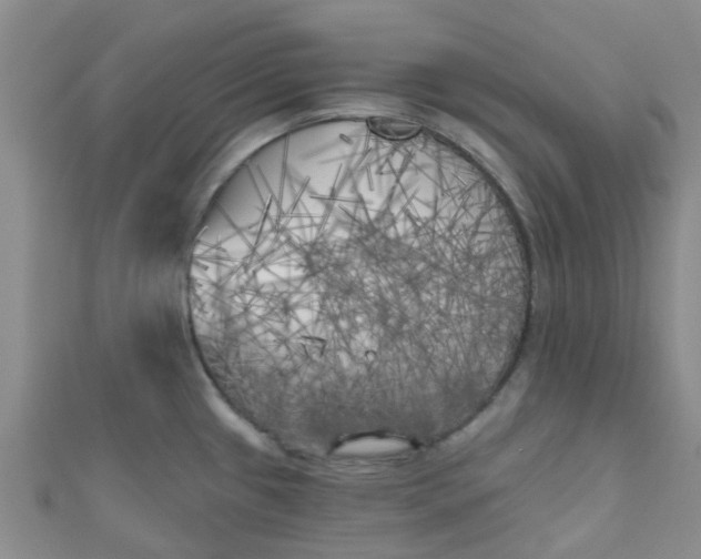 X0000111001433200907022127