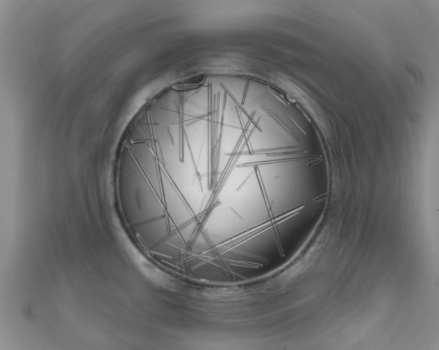 X0000111001434200907022127