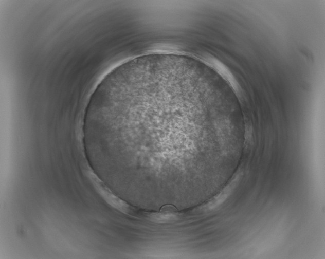 X0000111001435200907022127