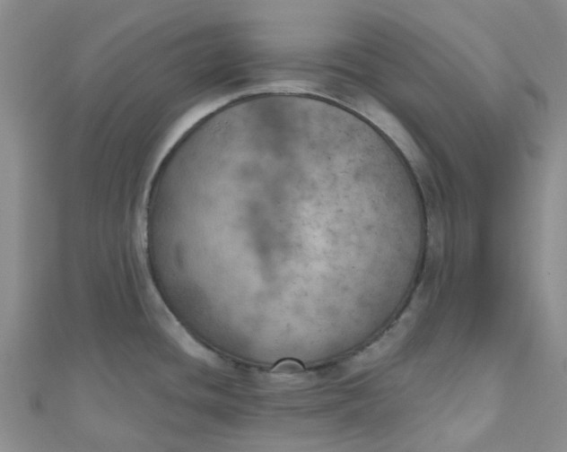 X0000111001436200907022127