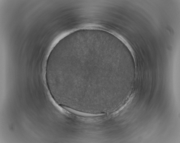 X0000111001437200907022128