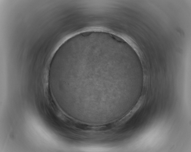 X0000111001438200907022128