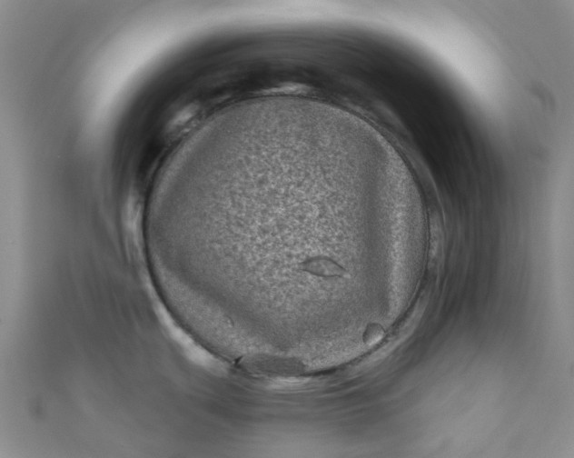 X0000111001439200907022128