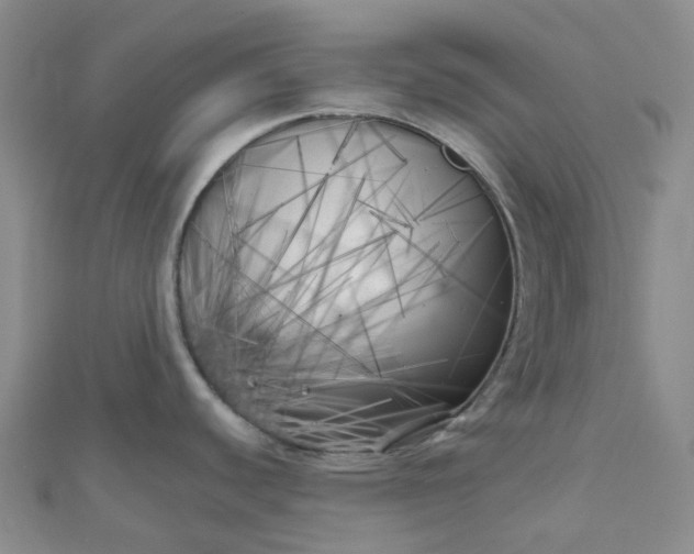 X0000111001440200907022128