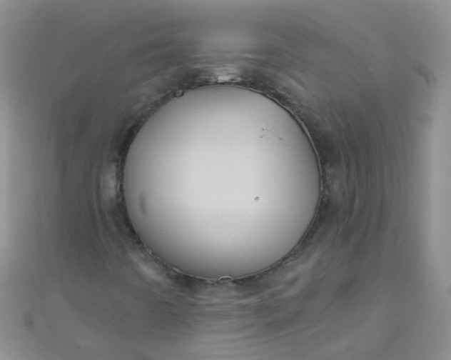 X0000111001442200907022127