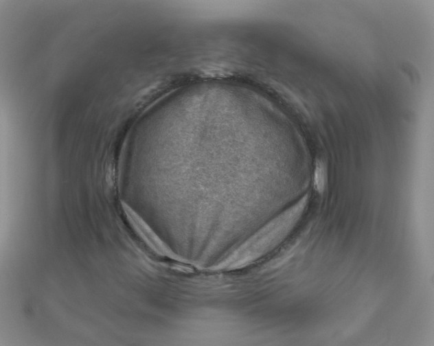 X0000111001444200907022127