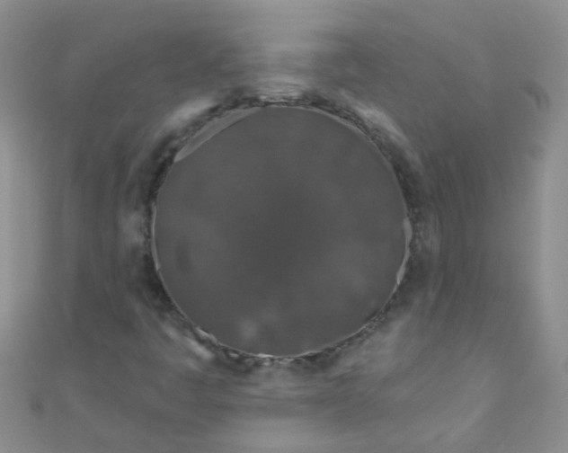 X0000111001445200907022127