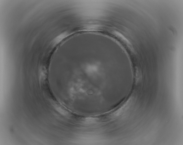 X0000111001449200907022127