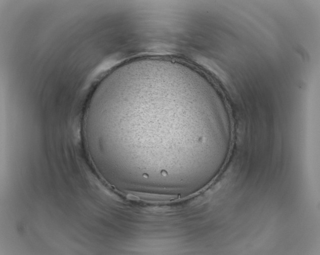 X0000111001451200907022127