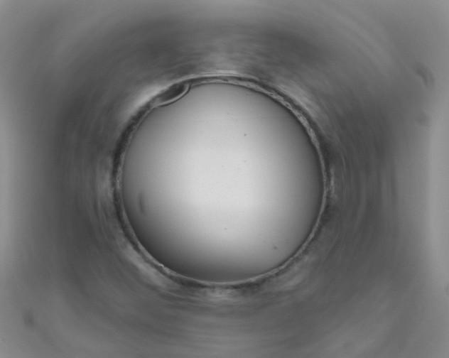 X0000111001452200907022127