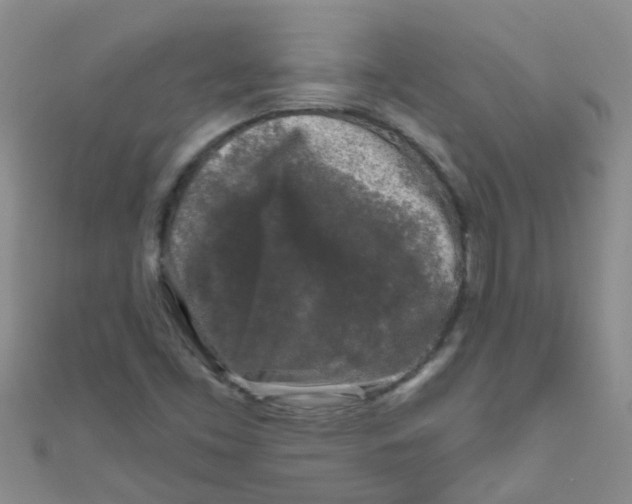 X0000111001453200907022127