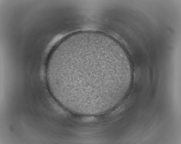 X0000111001454200907022127