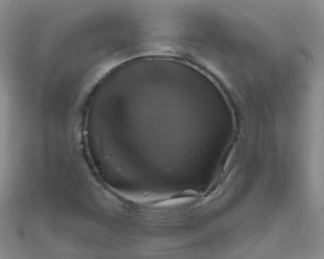 X0000111001455200907022127