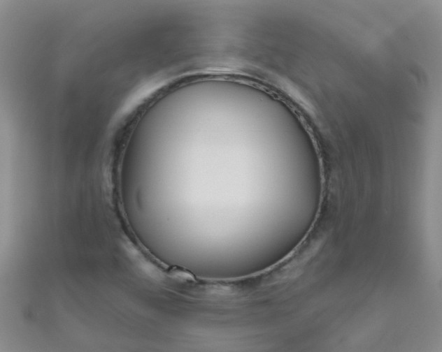 X0000111001456200907022127