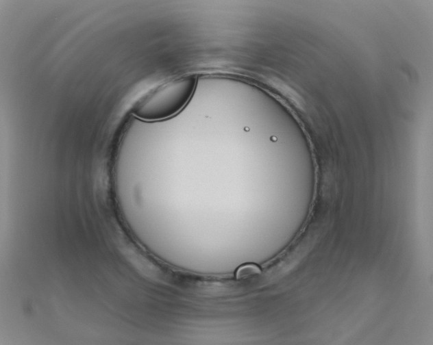 X0000111001458200907022127