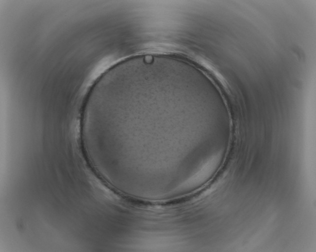 X0000111001459200907022127