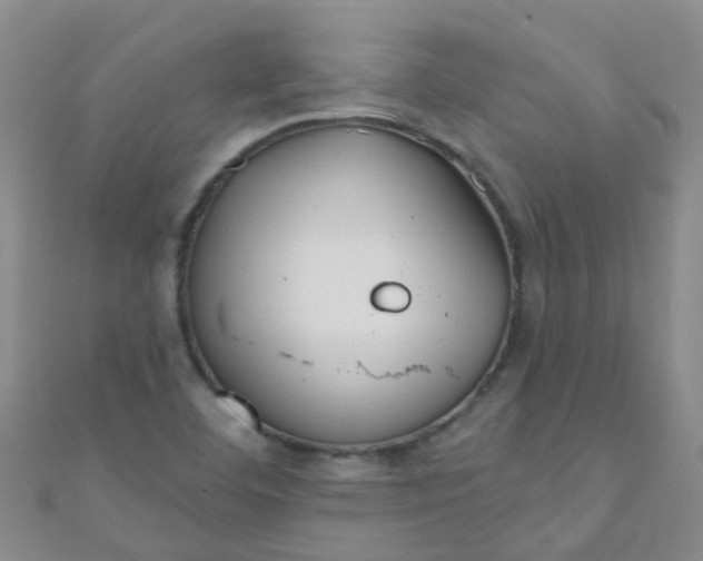 X0000111001460200907022127