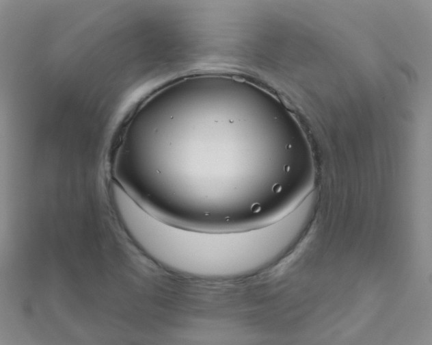 X0000111001461200907022127