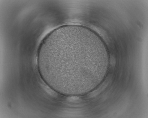 X0000111001462200907022127