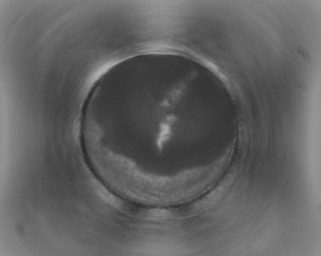 X0000111001463200907022127