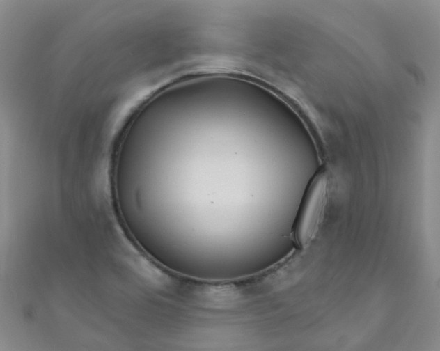 X0000111001464200907022127