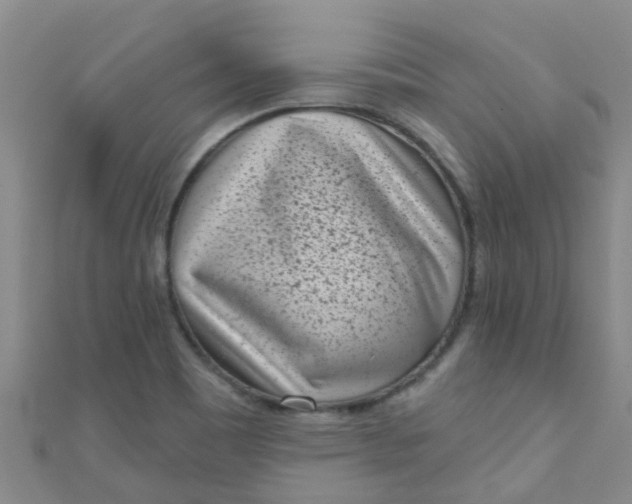 X0000111001465200907022127