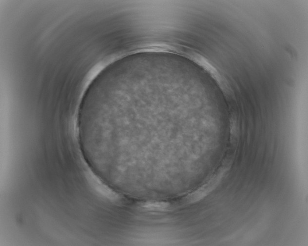 X0000111001466200907022127