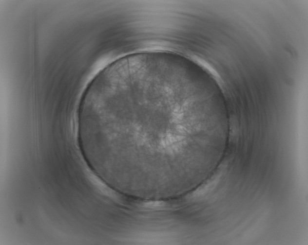 X0000111001467200907022127