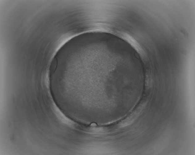 X0000111001468200907022127