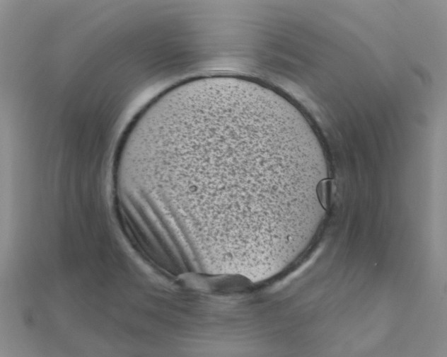 X0000111001469200907022127