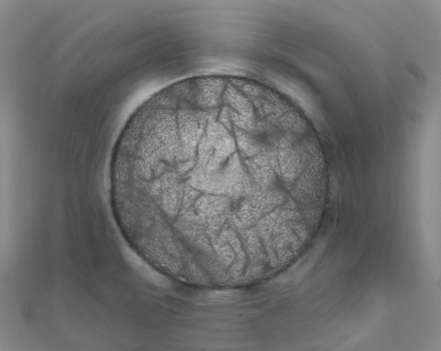 X0000111001471200907022127