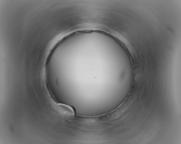 X0000111001472200907022127