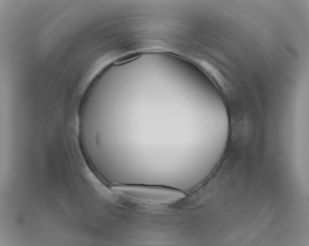 X0000111001476200907022126