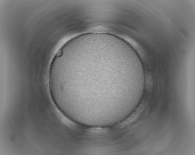 X0000111001478200907022126