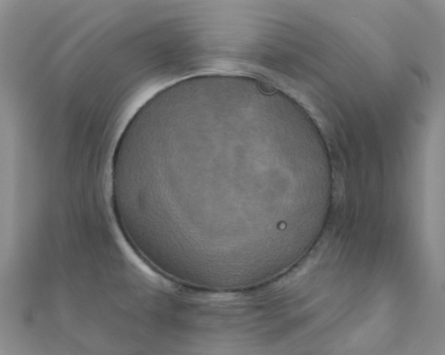 X0000111001479200907022126